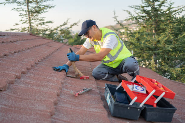 Best Metal Roofing Contractor  in Henning, TN